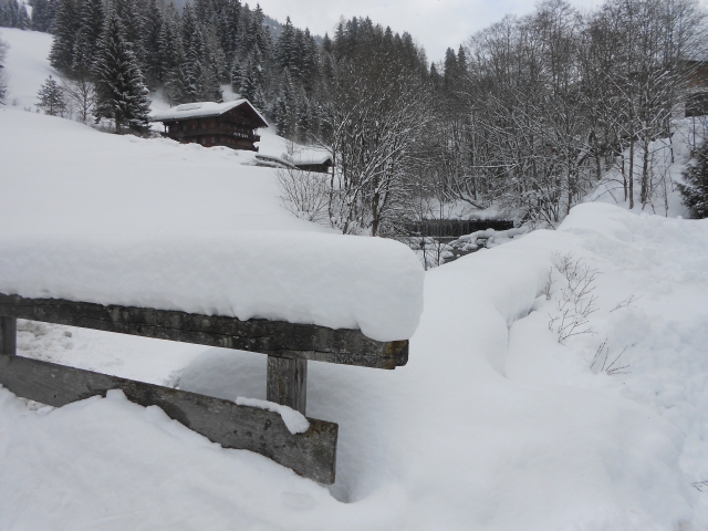 Alpbach (132)